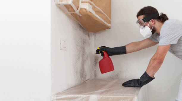 Professional Crawl Space Mold Removal technician working in Kewadin, MI