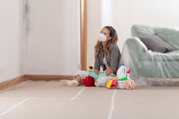 Reliable Crawl Space Mold Removal contractor in Kewadin, MI by WQB Mold Removal